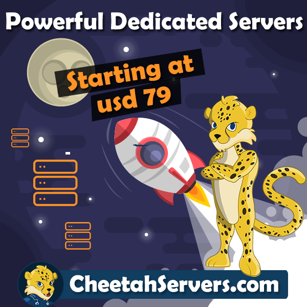 2 Core Processor Cheetah Server